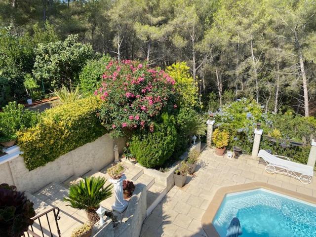 La Florentine Bandol Luaran gambar